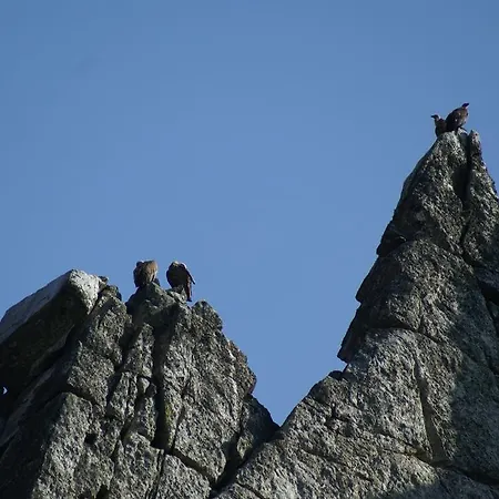 Al-mofrag Y El Mirador De Monfraguee