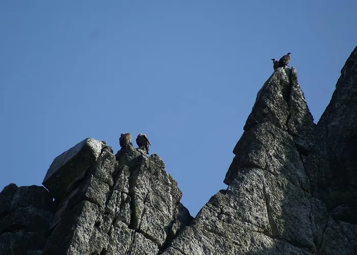 Al-mofrag Y El Mirador De Monfragüe